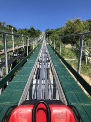 小车旅行自驾游，探索自由与冒险的完美融合