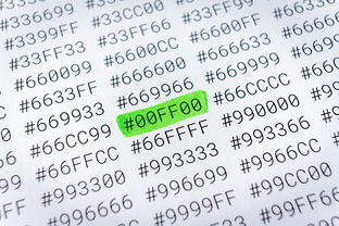 自驾游必备清单,让你的旅途更轻松、更安全 自驾游必备清单,让你的旅途更轻松、更安全